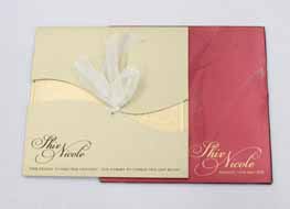 Half Fold Brochures