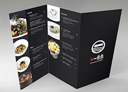 Z Fold Brochures